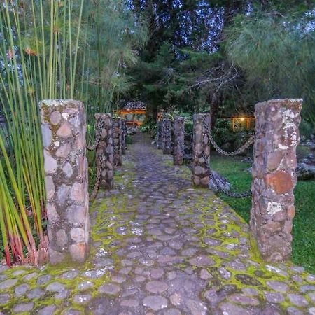 Finca Punta De Piedra Salento, Quindio Villa Екстериор снимка