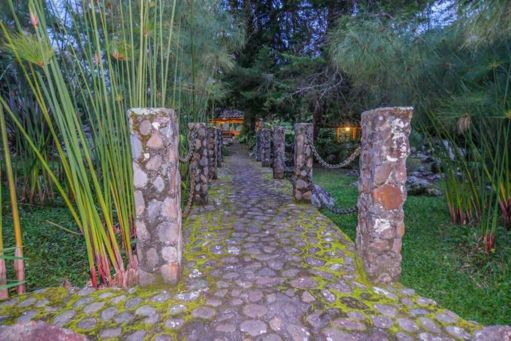 Finca Punta De Piedra Salento, Quindio Villa Екстериор снимка