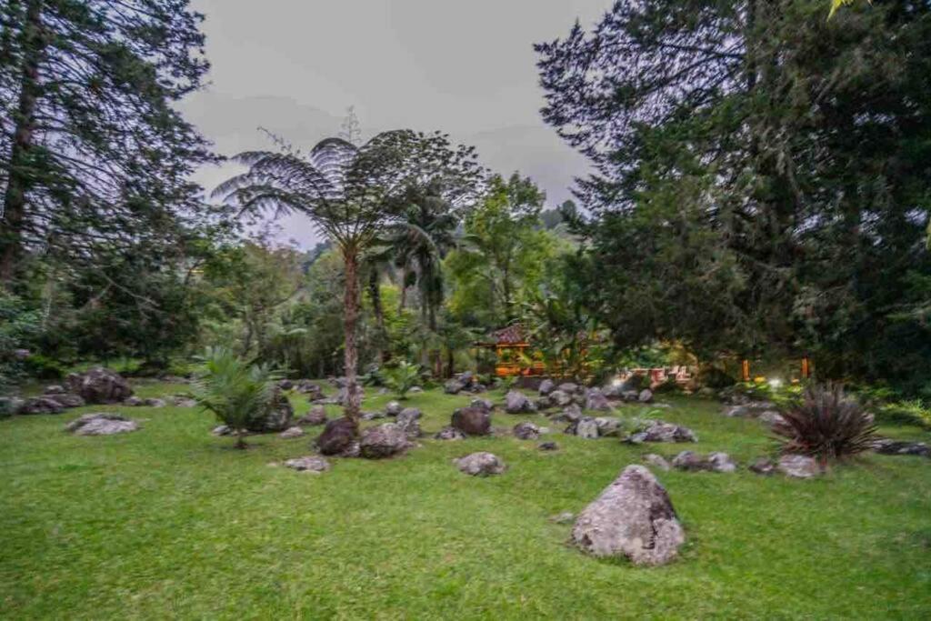 Finca Punta De Piedra Salento, Quindio Villa Екстериор снимка
