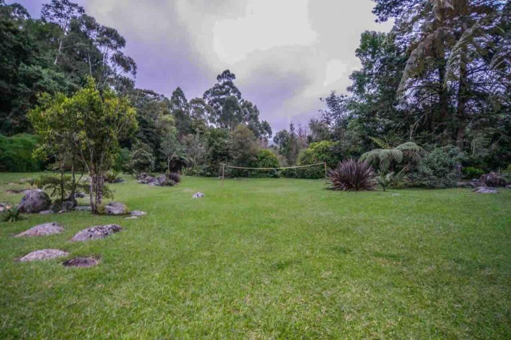 Finca Punta De Piedra Salento, Quindio Villa Екстериор снимка