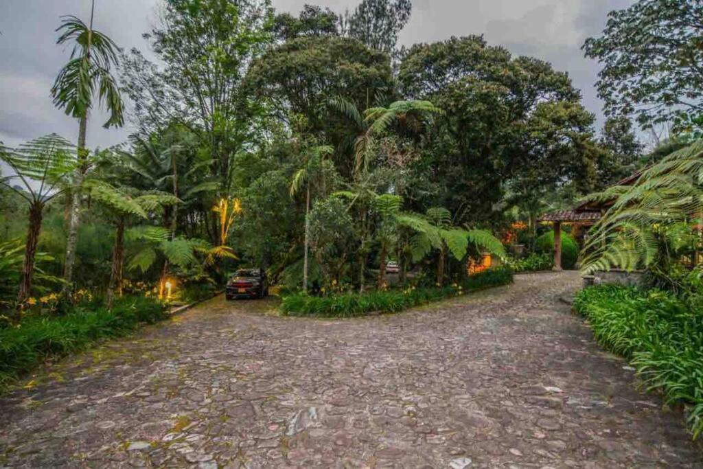 Finca Punta De Piedra Salento, Quindio Villa Екстериор снимка