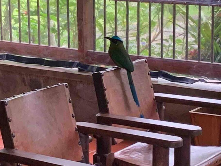 Finca Punta De Piedra Salento, Quindio Villa Екстериор снимка